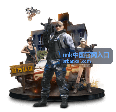 服务维护时段公告示意