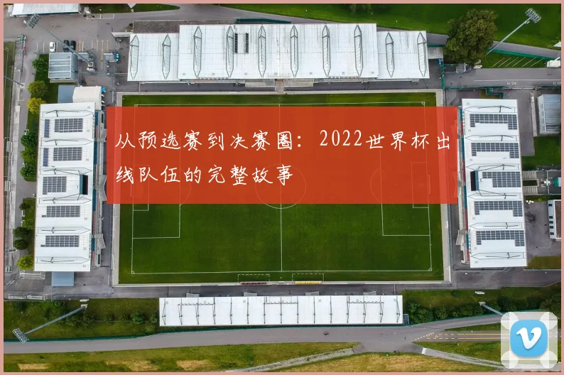 从预选赛到决赛圈：2022世界杯出线队伍的完整故事